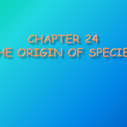 Chapter 24 the origin of species