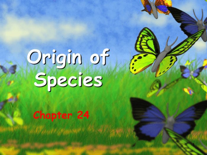 Chapter 24 the origin of species