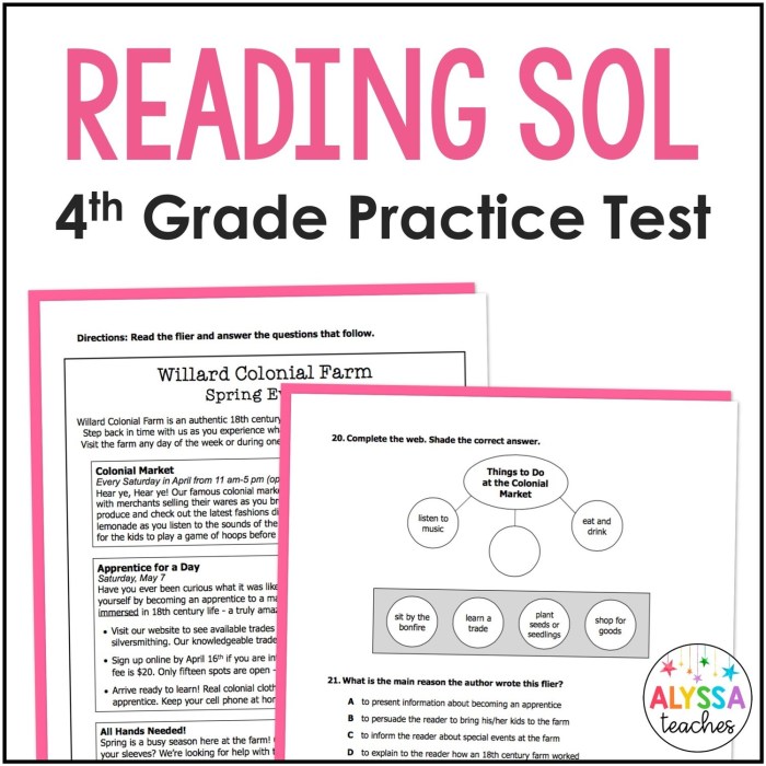 English 11 reading sol practice test