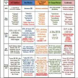 Nclex rn pharmacology study guide