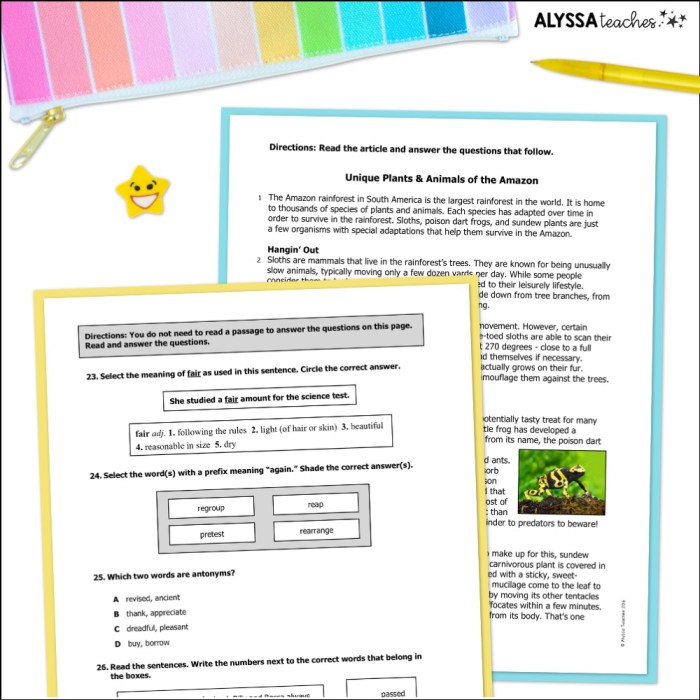 English 11 reading sol practice test