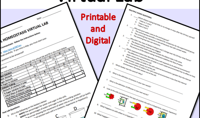 Cell homeostasis virtual lab worksheet