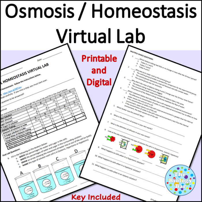 Cell homeostasis virtual lab worksheet