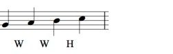 Complete the pattern for the major scale wwh