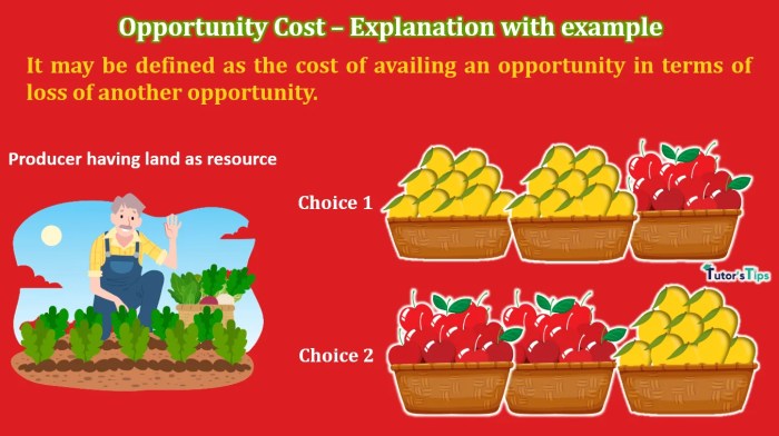 The costs associated with not choosing the other alternative is_______