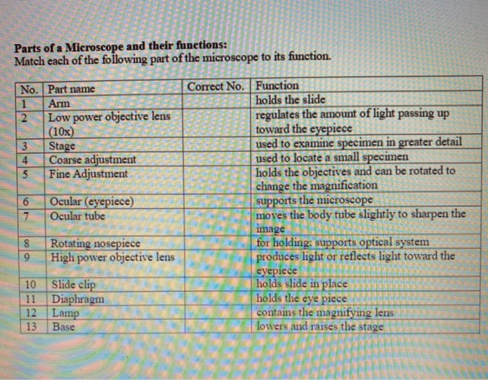 Match each description with the correct type of microscope