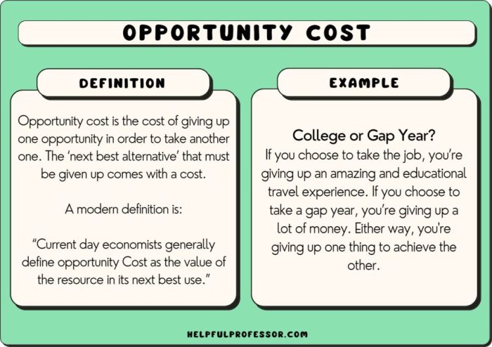 The costs associated with not choosing the other alternative is_______