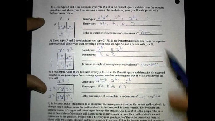 Incomplete and codominance worksheet answers